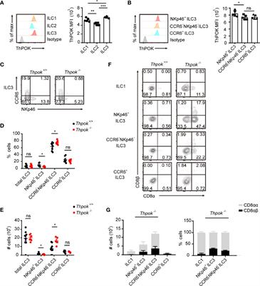 The Transcription Factor ThPOK Regulates ILC3 Lineage Homeostasis and Function During Intestinal Infection